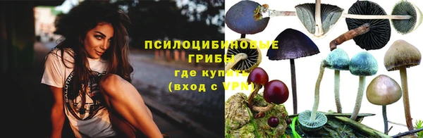 стафф Белоозёрский