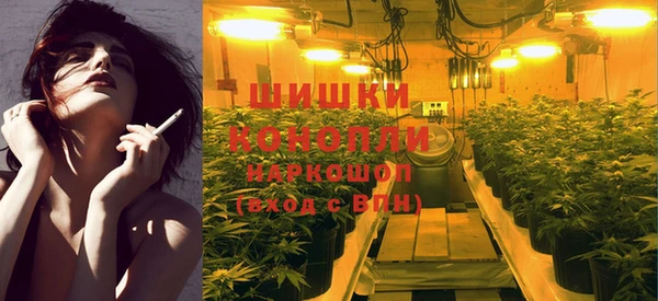 прущие грибы Балабаново