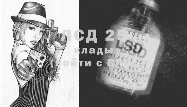 прущие грибы Балабаново