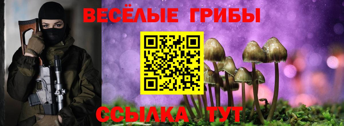 Гай  Псилоцибиновые грибы MAGIC MUSHROOMS  Вход с VPN 