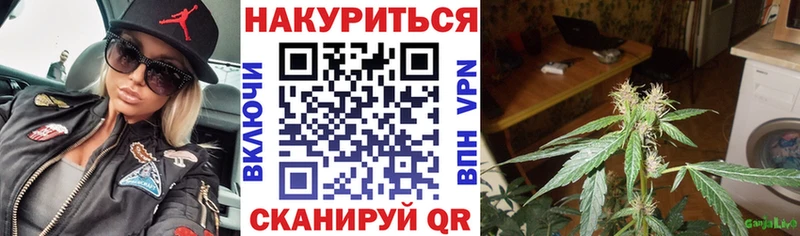 Бошки Шишки планчик купить закладку Гай